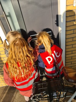 Album afbeelding 12